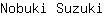 N***i