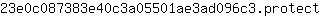 2***t