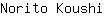 N***i