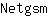 N***m