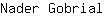 N***l