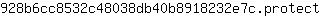9***t