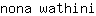 n***i