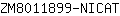 Z***T