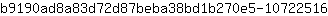 b***6