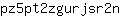 p***n