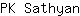 P***n