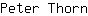 P***n