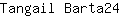 T***4