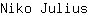 N***s