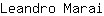 L***i