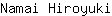 N***i