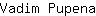 V***a