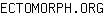 E***G