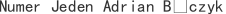 N***k