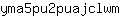 y***m