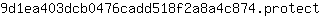 9***t