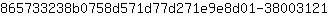 8***1