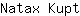 N***t