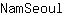 N***l