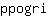 p***i