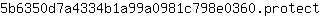 5***t