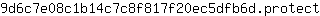 9***t