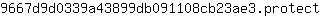 9***t