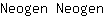 N***n