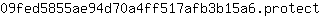 0***t