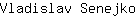 V***o