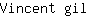 V***l