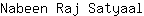 N***l