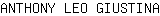 A***A