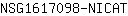 N***T