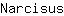 N***s