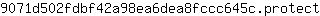 9***t