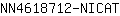 N***T