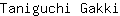 T***i