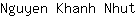 N***t