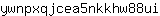 y***i
