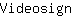 V***n