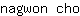 n***o