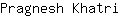 P***i