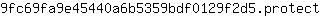 9***t
