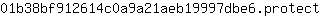 0***t