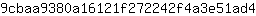 9***4