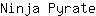 N***e