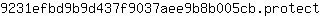 9***t