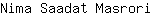 N***i